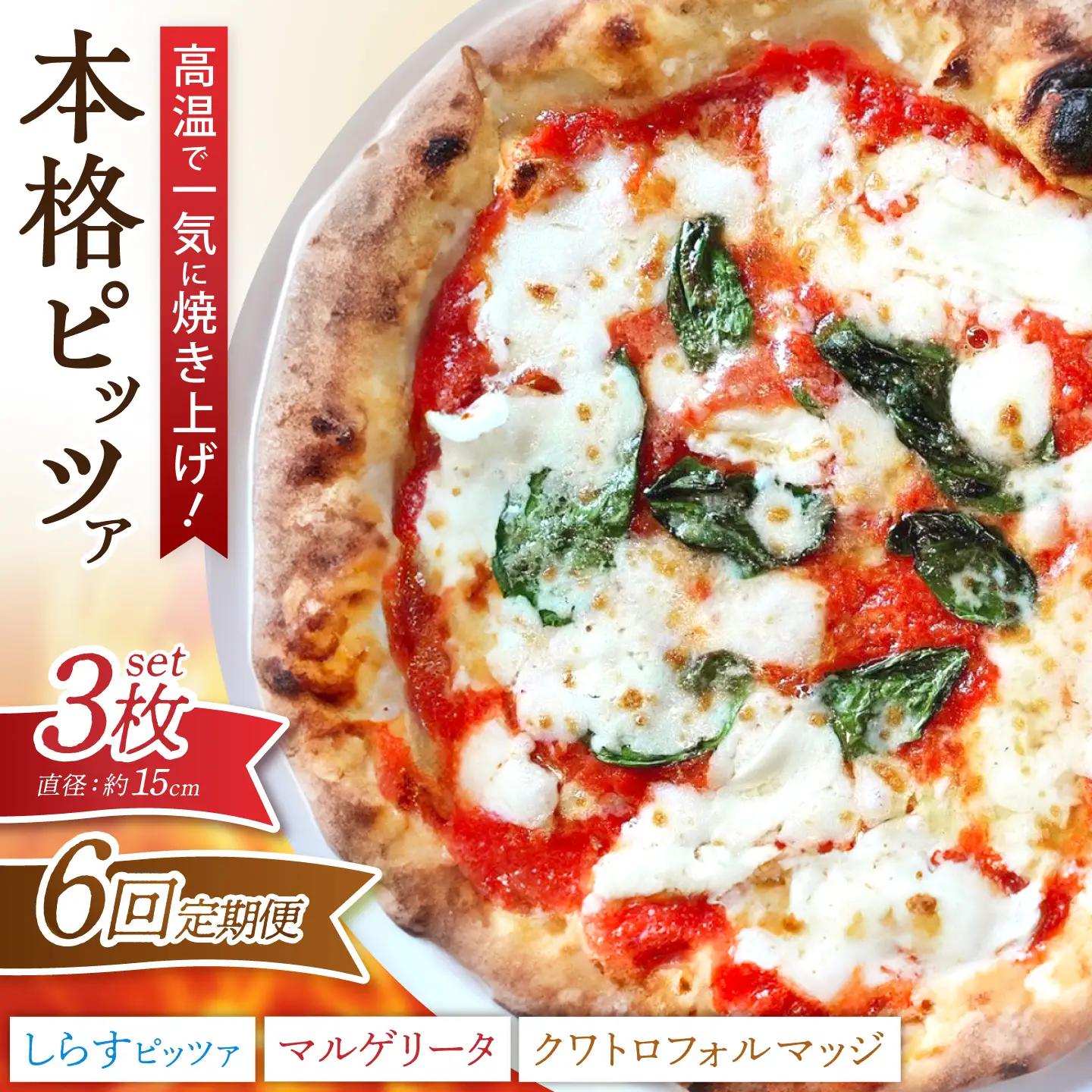 【6回定期便】ピザ ナポリピッツァ 3枚 ピザ BJCI003 