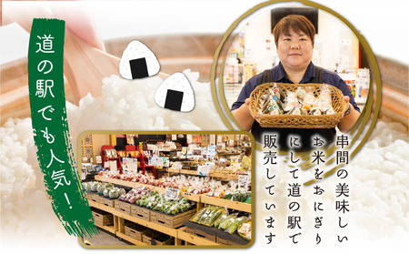 T-B2 ＜令和7年産＞宮崎県串間市産 超早場米「さきひかり」5kg(5kg×1袋)【松田農産】