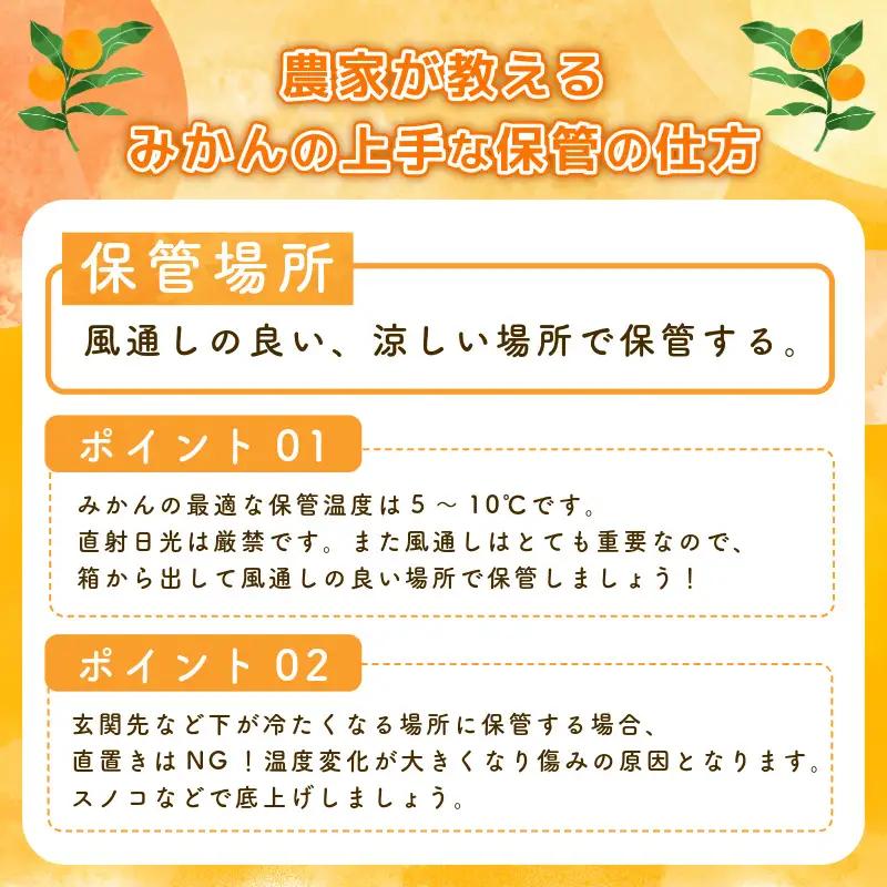 【2026年10月下旬順次発送】　みかん 10kg 温州みかん S~Lサイズ 小松島市 ミカン