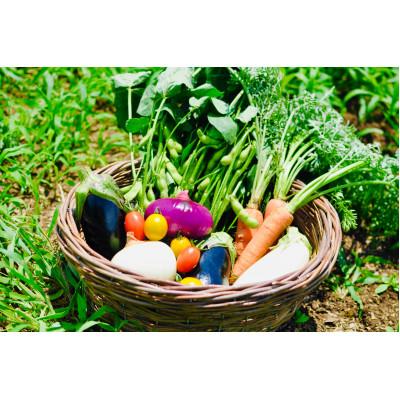 ふるさと納税 太田市 新鮮さ抜群 季節の味を楽しむ有機JAS認証 野菜詰め合わせセット(7種類前後)オーガニック 有機野菜
