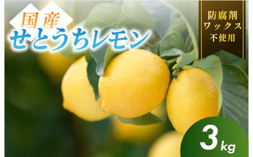 【有機】せとうちレモン 今治産 3kg【K002330KG3】ワックス不使用 防腐剤不使用 国産 愛媛 瀬戸内レモン 有機レモン オーガニック 生搾り 産地直送 減農薬 レモン 檸檬 直送 産直 無添加