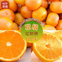 【ふるさと納税】 【定期便全3回】＼みかん好きにはたまらない！／ 味好農園の 柑橘 定期便 ( 小粒みかん・不知火・清見オレンジ )　旬の時期にお届け♪ / 定期便 デコポン 不知火 オレンジ しらぬい みかん 小玉 ss sサイズ フルーツ 3回