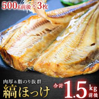 大きさ脂のり自慢!縞ほっけ(約500g)×3枚【配送不可地域：離島・沖縄県】