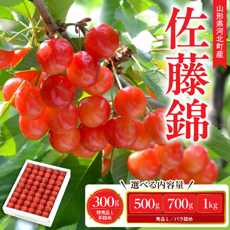 【ふるさと納税】 令和9年産 さくらんぼ 佐藤錦 ( 内容量が選べる : 300g / 500g / 700g / 1kg ) L玉以上 秀品 化粧箱入り ギフト箱入 | 先行予約 先行受付 2027年 フルーツ 果物 くだもの 旬の果物 チェリー 産地直送 お取り寄せ 人気 おすすめ 山形県 河北町