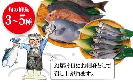 【朝どれピチピチの鮮魚をお届け！】旬の鮮魚 詰め合わせ セット 3〜5種類【松園水産】[RBO011]