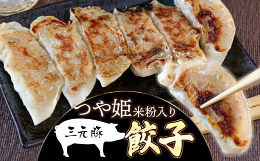 つや姫米粉入り 三元豚餃子（32g×6個入×10パック）　株式会社 たませ