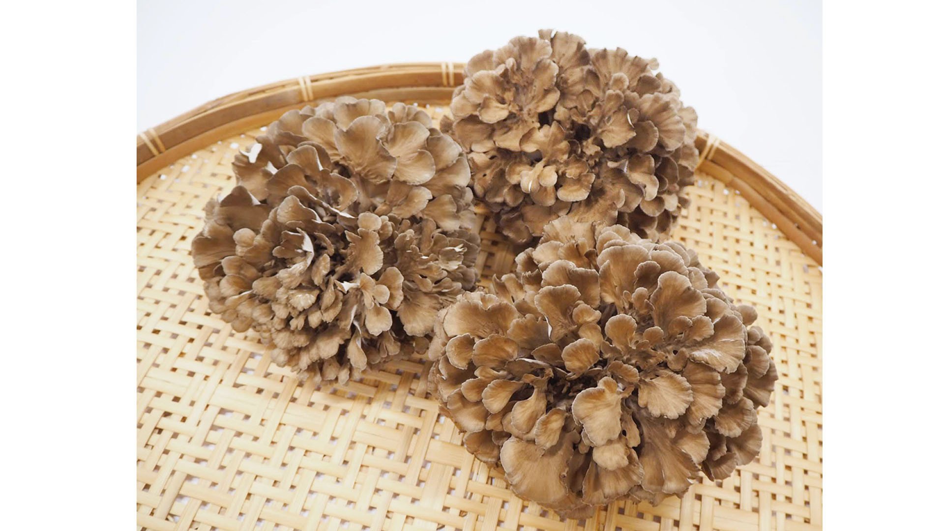 
                  260M.まいたけ三昧･満足セット
                