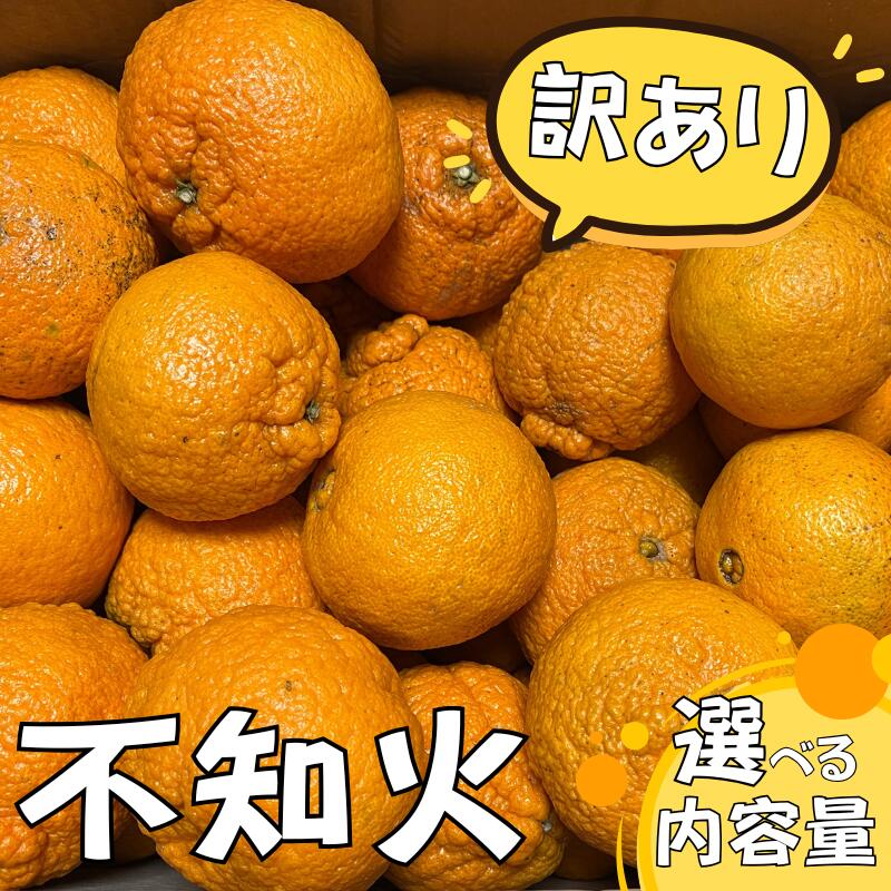 【ふるさと納税】 不知火 デコポン 5kg 7kg ちょこっと 訳あり ご家庭用 選べる 容量 みかん ミカン 果物 わけあり 家庭用 予約 人気 旬 産地直送 送料無料 ※2026年2月中旬より順次発送予定 指定不可