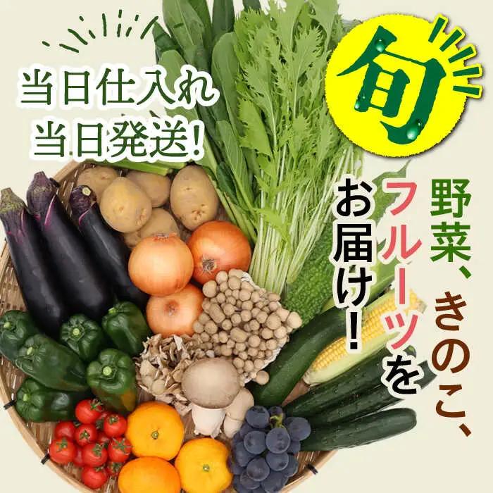 野菜 フルーツ キノコ 詰め合わせ 15品目以上 [SCZ001] ｜野菜セット