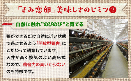新鮮赤卵「きみ恋卵」60個_AA-2911_(都城市) 赤玉子 Mサイズ 60個 きみ恋卵 冷蔵 チルド 赤たまご 河中農園 取れたて新鮮たまご タマゴ たまご 鶏卵 お菓子作りにも最適