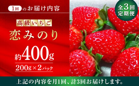 【先行予約】【3回定期便】高級 いちご 恋みのり 約400g（200g×2pc） 【伊藤農園】苺 いちご ストロベリー イチゴ 特産品 オーガニック 有機栽培 [ZBB008]
