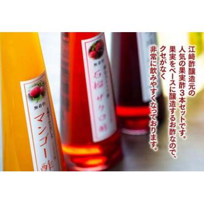 ふるさと納税 八女市 果実酢3本セット(マンゴー、ブルーベリー、ザクロ) |  | 02