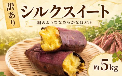 ※画像はイメージです。
