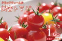 【ふるさと納税】【7〜10月先行予約】ドロップファームの美容トマトおまかせ1kg箱(4種ミックス)（CK-7）