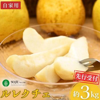 ふるさと納税 三条市 先行受付 ル レクチェ 自家用 約3kg 洋梨 JGAP認証農場 幻の西洋梨 【010P067】