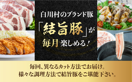 《定期便》全4回 白川郷 結旨豚 食べ比べ とんかつ しゃぶしゃぶ ブロック 切り落とし 食べ比べ バラ肉 ロース、肩ロース 豚肉 国産 白川村 真空パック 小分け 角煮 焼肉 ブランド豚 ゆいうまぶ