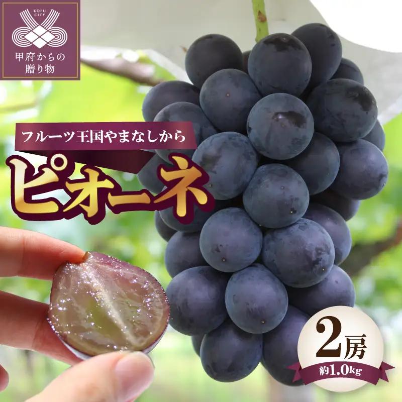 〈2026年度配送分〉ピオーネ2房（約1.0kg） ピオーネ 大粒 山梨 県産 先行予約 2026年 ぶどう フルーツ 2房 冷蔵 生産量 日本一 甲府 市産 1.0kg以上 フルーツ王国山梨 2026年8月上旬～8月下旬にかけて順次発送