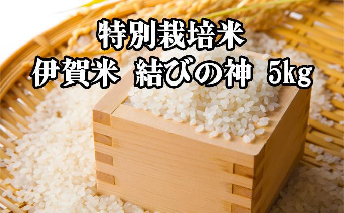 
特別栽培米・伊賀米結びの神 5kg
