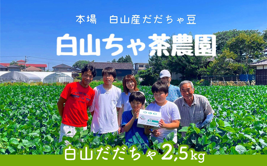 
【令和7年産先行予約】山形セレクション認定　だだちゃ豆 「白山だだちゃ」 2.5kg（500g×5袋）　白山ちゃ茶農園　K-761
