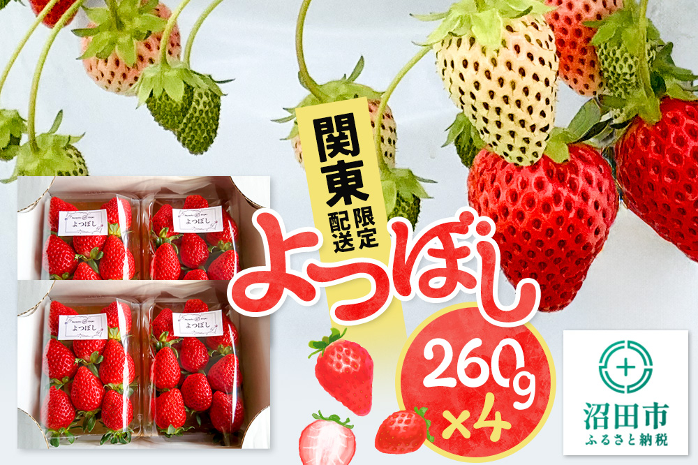《12月上旬~3月下旬発送》関東限定配送 イチゴ よつぼし 約260gパック×4