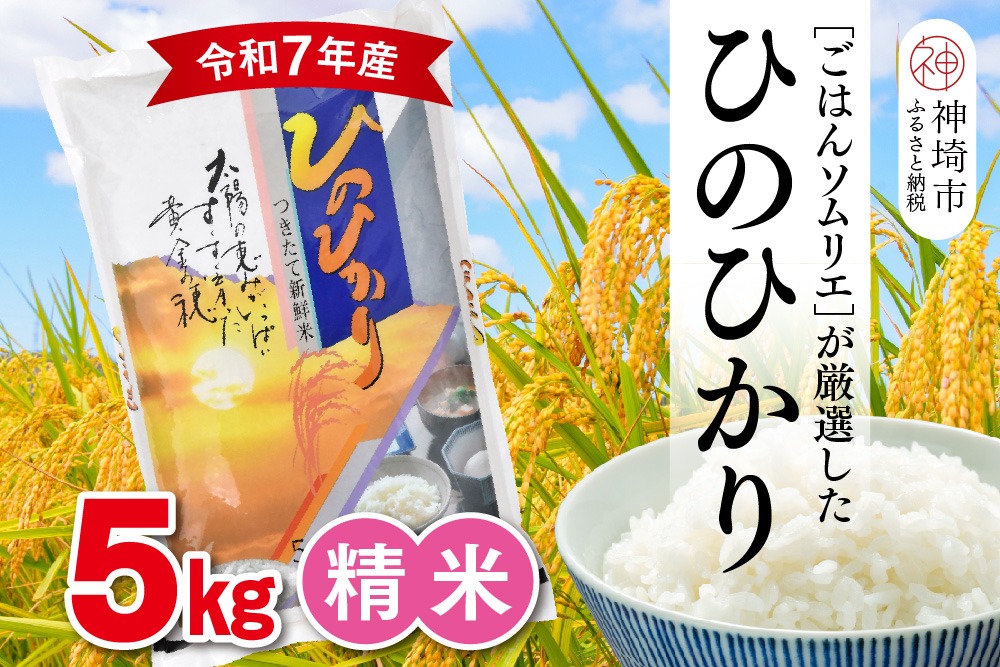 【令和7年産 新米】ごはんソムリエが厳選 白米 ひのひかり 5kg【神埼市産 米 お米 精米 白米 5kg ひのひかり ブランド米 食味鑑定士】(H063150)