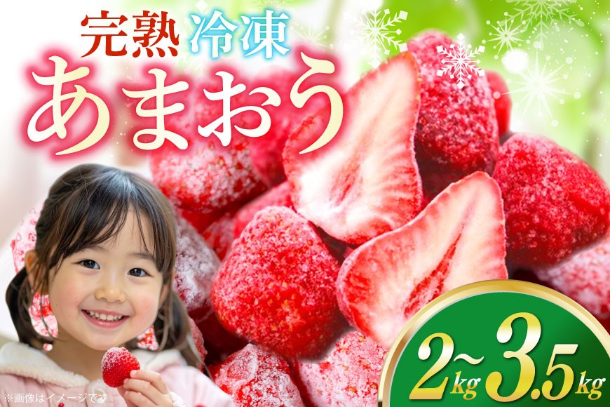 
                  【先行受付】 いちご 冷凍 選べる 量 あまおう 完熟 2kg 3.5kg [ストロベリーファーム 福岡県 宇美町 um40azp070004] 先行予約 イチゴ 苺 フルーツ 冷凍フルーツ 冷凍いちご 冷凍苺 冷凍イチゴ 果物 果実 甘い あまい 
                
