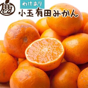 ＜11月より発送＞家庭用 小玉な有田みかん5kg+150g（傷み補償分）【わけあり・訳あり】【光センサー選果】