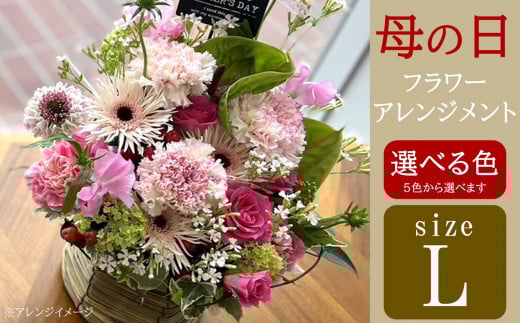 【母の日ギフト 5/7～8出荷】カラー選べるフラワーアレンジメント（生花） Lサイズ リッチサイズ 母の日までにお届け メッセージピック付き[Y0480]