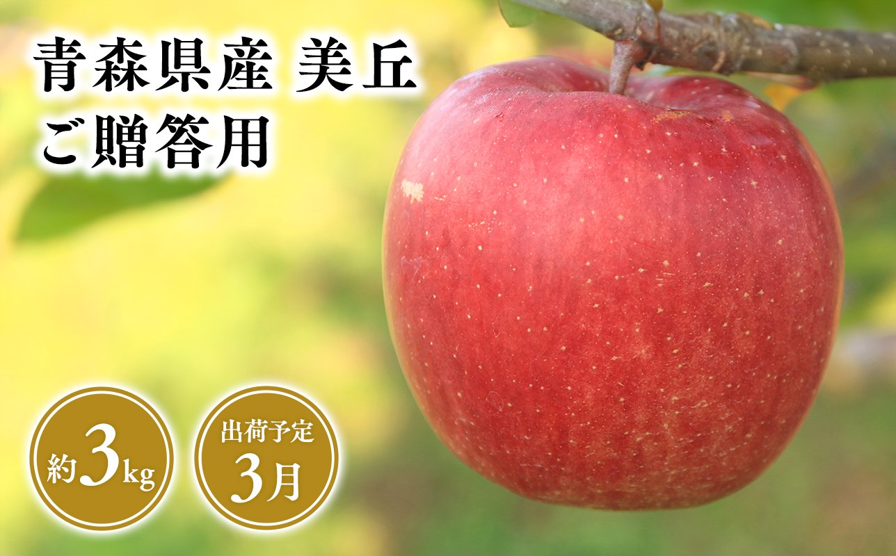 
            2025年産 ３月発送　贈答用美丘3kg【青森県 平川市 そと川りんご園】３月発送 贈答 青森 青森県産 平川 りんご リンゴ 林檎 くだもの 果物 フルーツ 
          