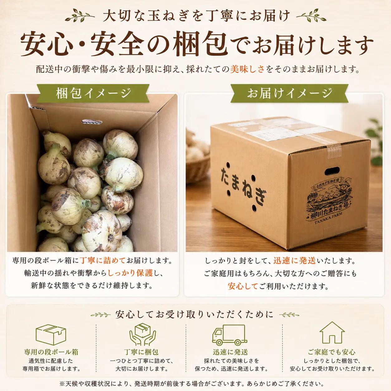 【先行予約】玉ねぎ 5kg | 玉ねぎ