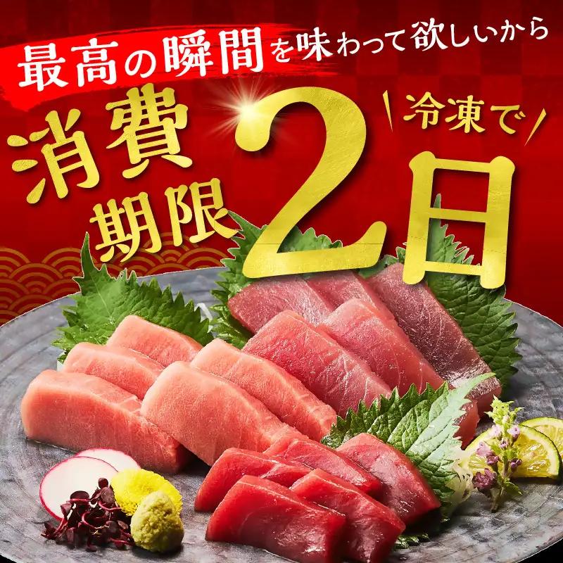 国産本まぐろ 中トロ 赤身 600g [ まぐろ ] / 2-134