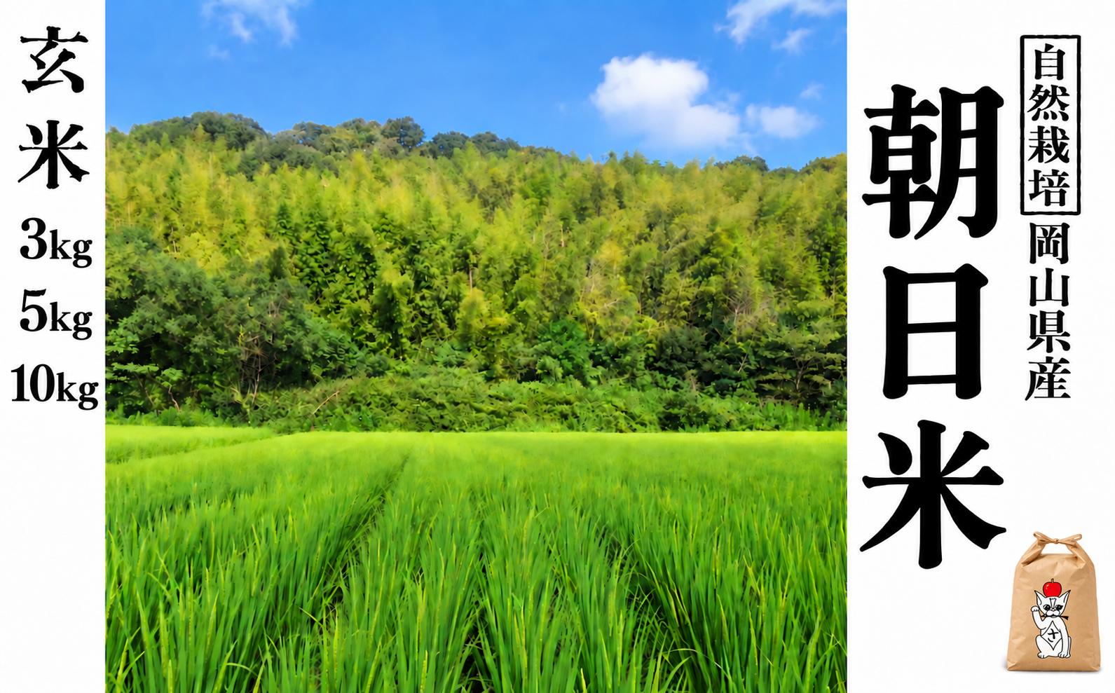 
                  新米 令和８年度産 【先行予約】 瀬戸内 自然栽培米 「朝日」玄米 選べる容量 3〜10kg 無農薬 無肥料  米 自然栽培 こめ 岡山県 瀬戸内市 さしすせそ
                