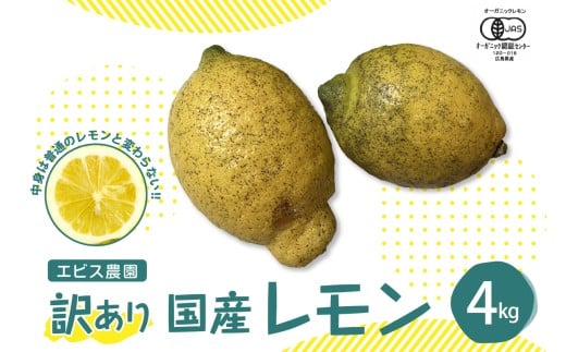【2025年12月上旬～発送】【訳あり】希少な国産オーガニックレモン4.0kg【栽培期間中農薬不使用】 ku026-005-25