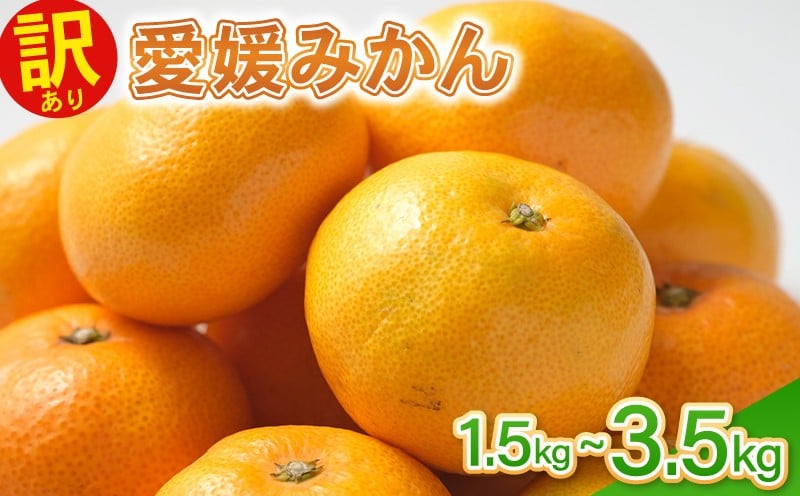 
            訳あり愛媛みかん 1.5kg～3.5kg 温州みかん みかん 先行予約 柑橘 傷み補償 傷み保証 不揃い みかん ミカン 蜜柑  サイズミックス 規格外   フルーツ 果物 フルーツ果物 先行受付 常温 愛南町 青果市場 愛媛県 
          
