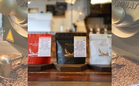ロースターズセレクト 150g×3種類のおすすめスペシャルティコーヒー ドリンク コーヒー スペシャルティコーヒー 中挽き