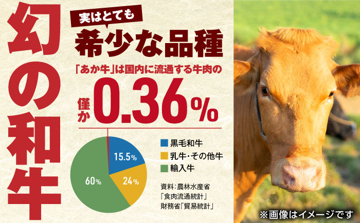 肥後の赤牛 ハンバーグ 150g×10個 計1.5kg 熊本県産 牛肉100％ 赤牛 ジューシー 褐牛 あかうし 褐毛和種 肥後 冷凍 国産 牛肉 熊本 【やまのや】[YDF001] 10000 10