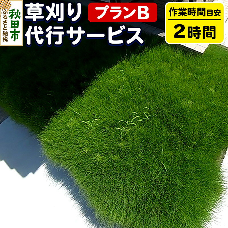 【ふるさと納税】草刈代行サービス プランB(作業目安：2時間) リモートで楽々メンテナンス！【秋田県秋田市】