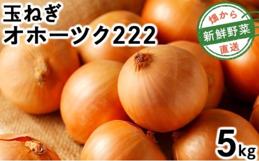 【順次配送】畑から直送の新鮮野菜！玉ねぎ（オホーツク222）5kg