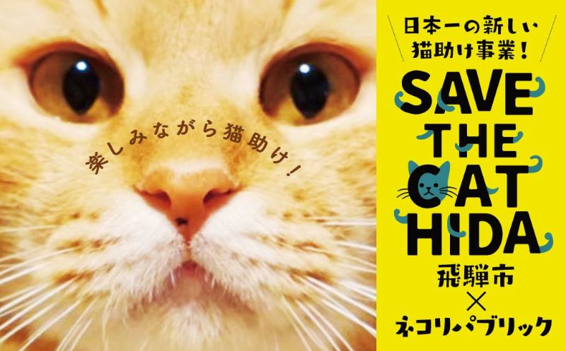 
シェルター＆ホスピスに名前を刻める権利 10万円 SAVE THE CAT HIDA PROJECT ネコリパブリックの保護猫活動×飛騨市のコラボプロジェクト
