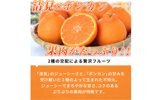 【先行予約】紀州有田産不知火(しらぬひ) 2.5kg　※2026年2月中旬頃〜2026年3月中旬頃に順次発送予定（お届け日指定不可）/みかん 不知火 和歌山 フルーツ 有田【uot794】
