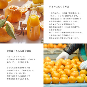 愛媛 みかん 果汁 100% ストレート ジュース と ゼリー の ギフト セット 720ml 1本 と ゼリー 6個 10 FACTORY |みかん 柑橘 手提げ袋付 オレンジ 国産 贈答 内祝い 
