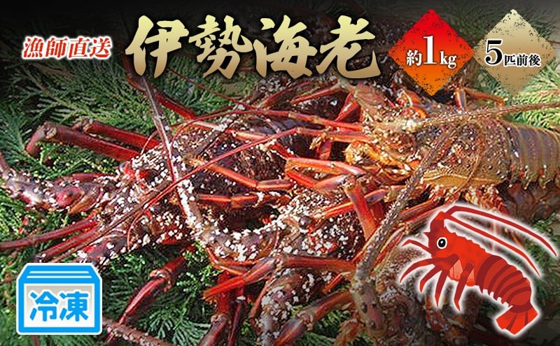 
            冷凍伊勢海老1kg 伊勢エビ 冷凍 漁師直送 [№5227-0145]
          