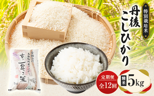 【毎月定期便】京都府与謝野町産 丹後コシヒカリ 精米5kg　特別栽培米 京の豆っこ米全12回【4083193】