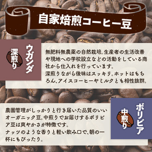 こだわり栽培のコーヒー豆(ウガンダ)(計400g・200g×2袋) 焙煎 コーヒー 豆 珈琲 珈琲豆 【m70-01】【N BLOOD COFFEE ROASTERS】