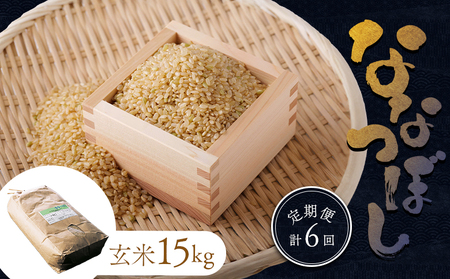 《先行受付》【令和7年度産】食味ランキング「特A」ななつぼし玄米定期便(15kg×6回)【隔月でお届け】【1101103】
