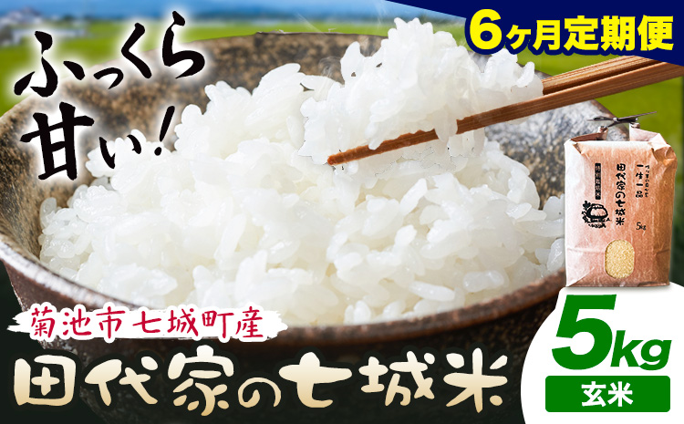 【6ヶ月定期便 】令和7年産 菊池市七城町産 田代家の七城米 七城ヒノヒカリ 玄米 5kg 田代こめや《お申込み翌月から出荷》熊本県 菊池市 米 お米 精米 ひのひかり 菊池市産 熊本県産 九州産 送