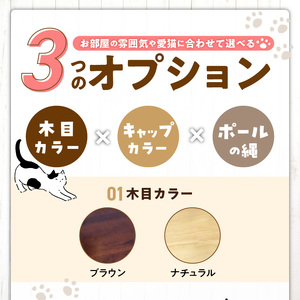 スケルトンキャットタワー XLB-B（高さ245cm） _ キャットタワー スケルトン 突っ張り型 猫 猫用 透明 クリアボウル 家具調仕上げ インテリア 重厚感 高級感 多頭飼い おすすめ 運動不足