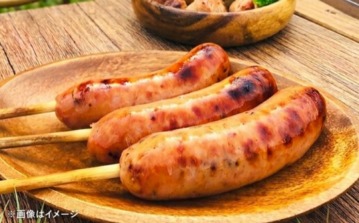 LGASIA（ルガシア）AJIMEフランクフルト 15本（5本入り × 3パック）約1.2kg / 串付き ソーセージ 旨辛 / 恵那市 / MAC [AUDM052]