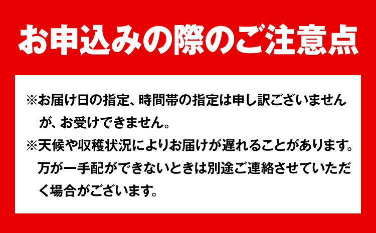 【令和7年度先行予約】岡山県産 白桃 (早生種) 約900g  晴れの国 おかやま館(漂流岡山)《2026年7月上旬-７月下旬頃出荷》【配送不可地域あり】（離島）---124_c2184_7a7c_2
