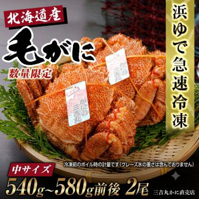 ふるさと納税 白老町 【浜ゆで自社タグ付】北海道産ボイル毛ガニ540g〜580g前後×2尾